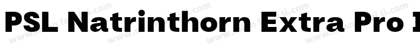 PSL Natrinthorn Extra Pro Italic字体转换